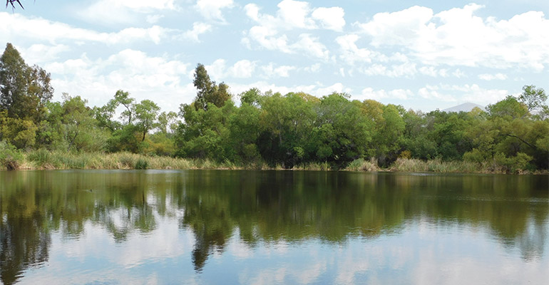 Morrison Pond