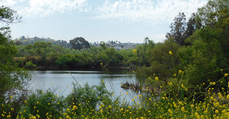 Morrison Pond