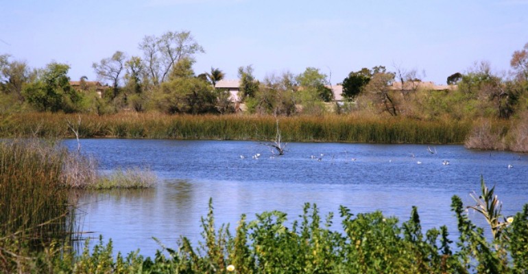 Tijuana River Valley Regional Park