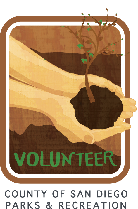 Volunteer