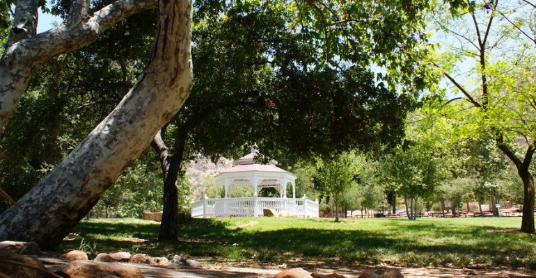 Gazebo surrounded by trees