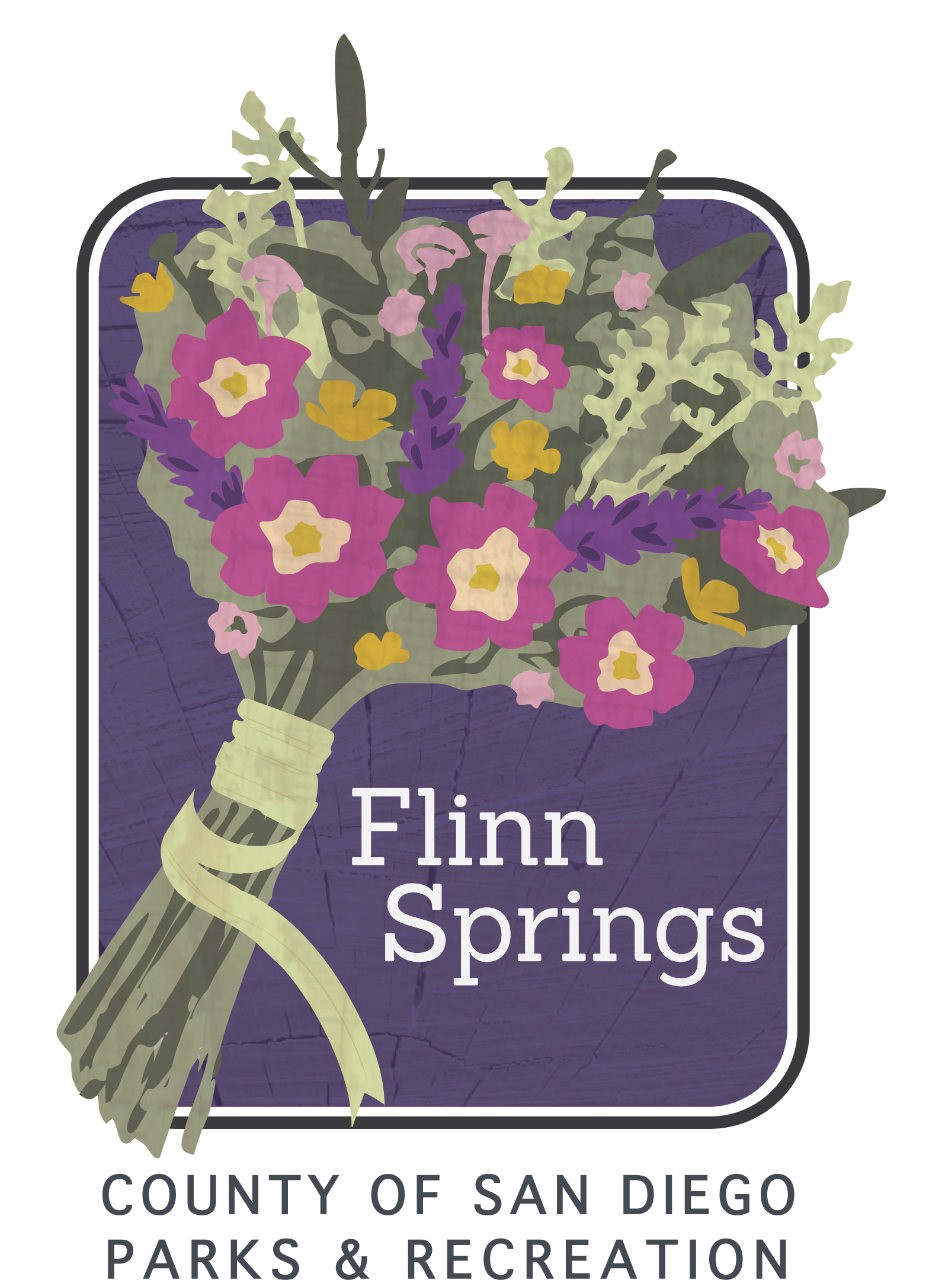 Flinn Springs