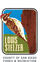 Louis Stelzer